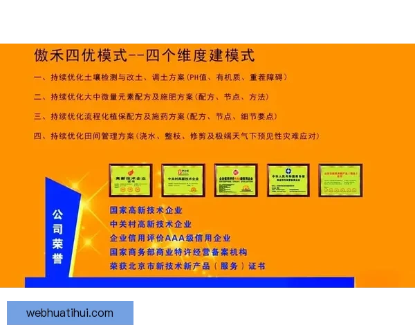 世界杯赛事深度解析与体育竞猜策略全方位指南
